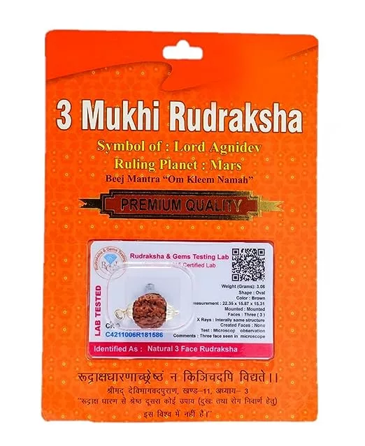 3 Mukhi Rudraksha