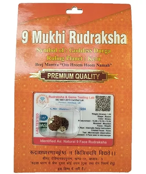 9 Mukhi Rudraksha