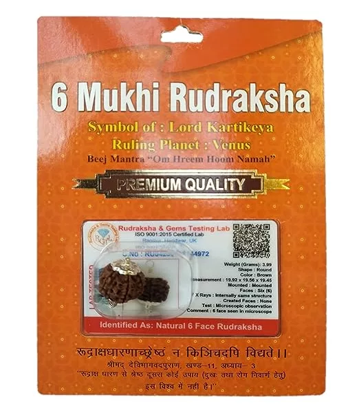 6 Mukhi Rudraksha