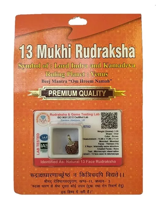 13 Mukhi Rudraksha
